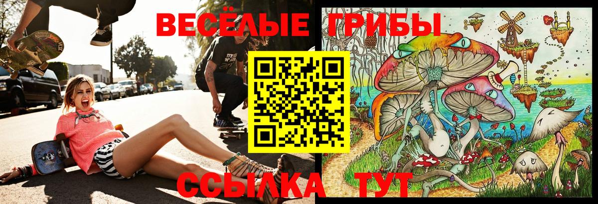 НБОМе  COCAIN  Вход с VPN  Мефедрон   КЕТАМИН  Сосновый Бор  ГАШ  Марихуана  ГАШ  Купить наркоту 