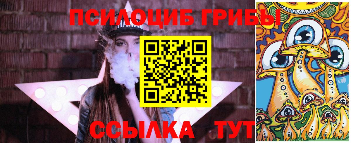 Сосновый Бор  что такое   Вход с VPN  Галлюциногенные грибы Psilocybine cubensis 